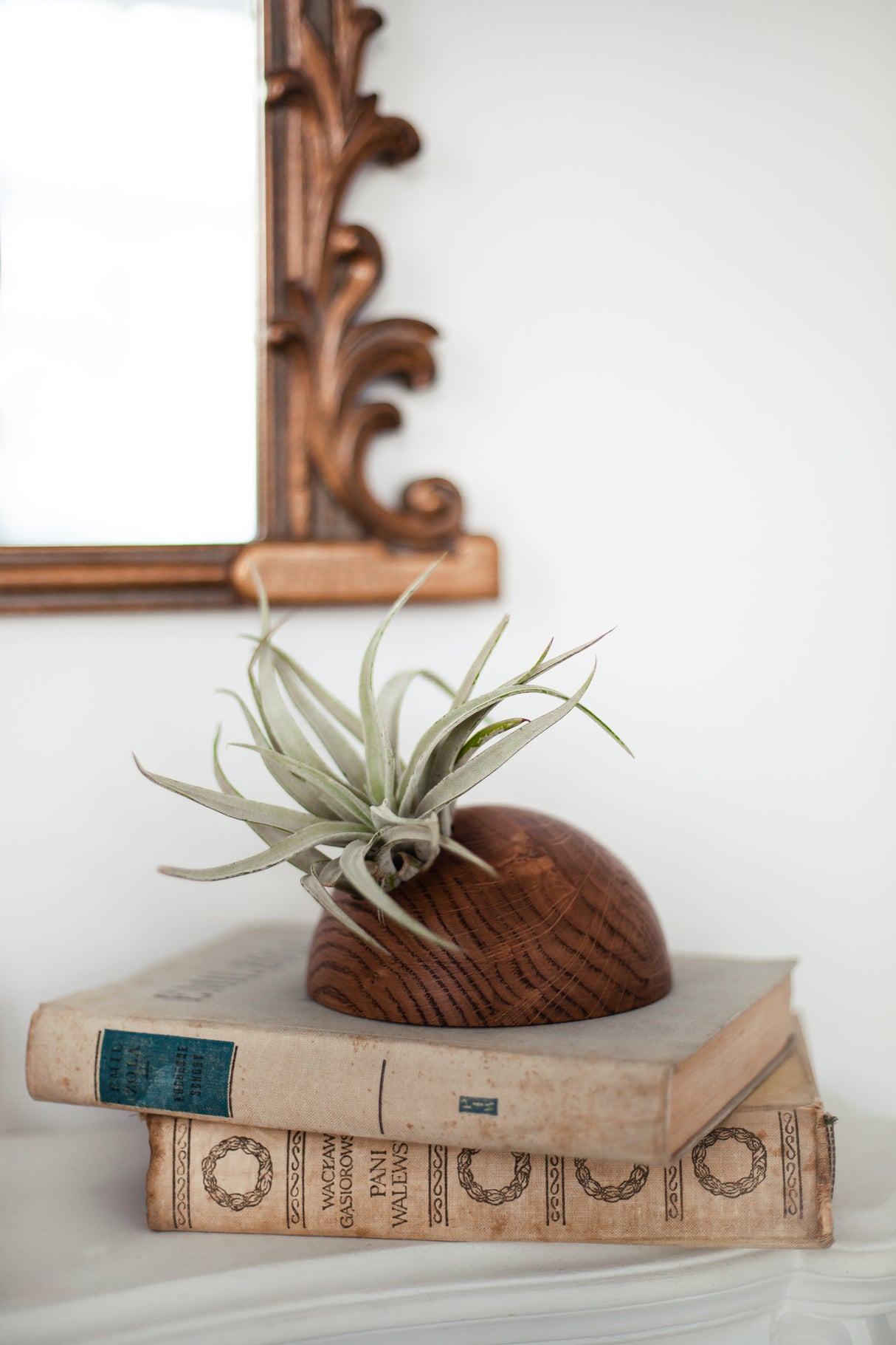 Hémisphère - Chêne foncé