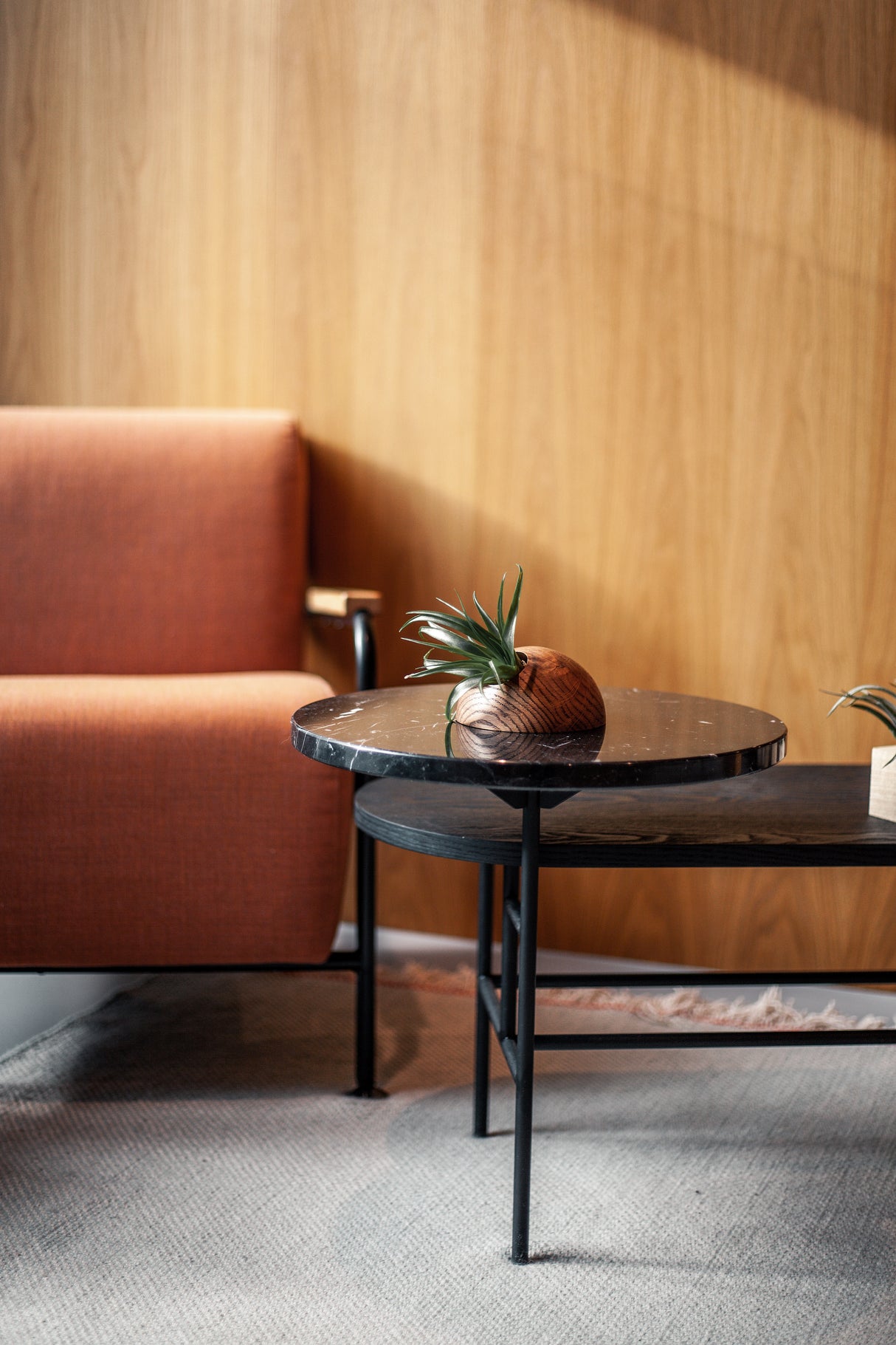 Hémisphère - Chêne foncé