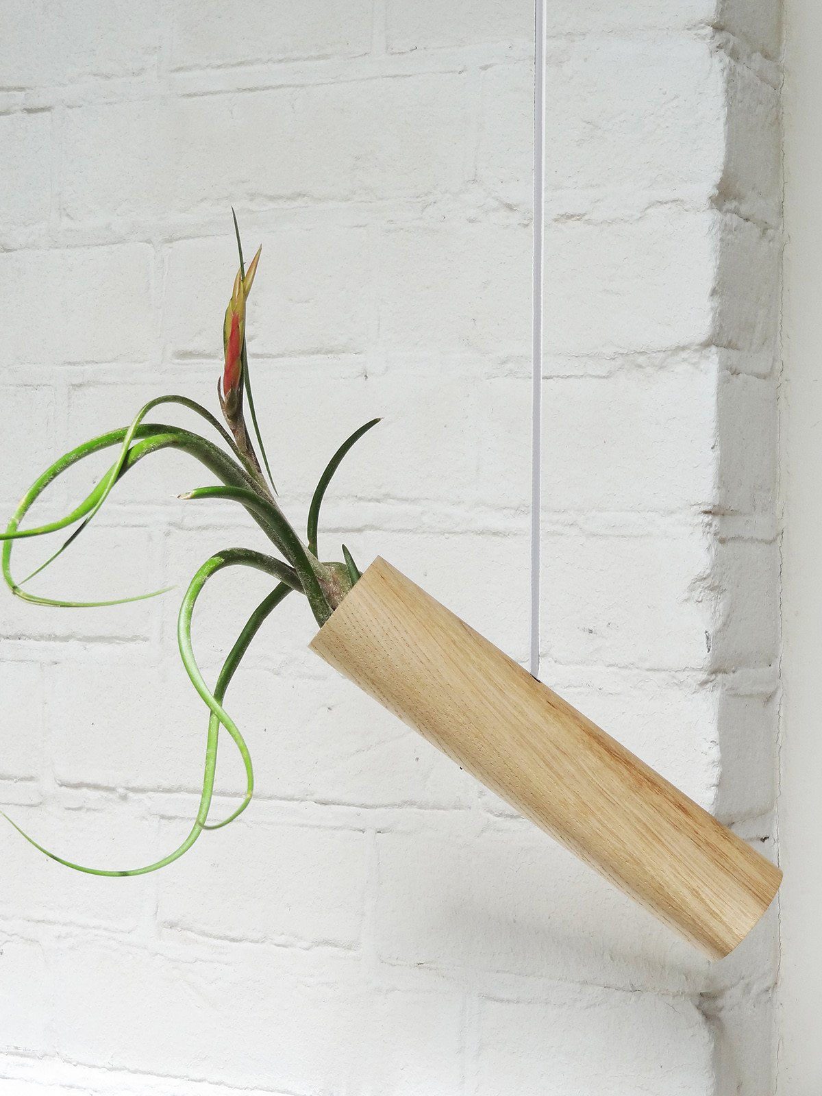 Cylindre suspendu - Chêne clair