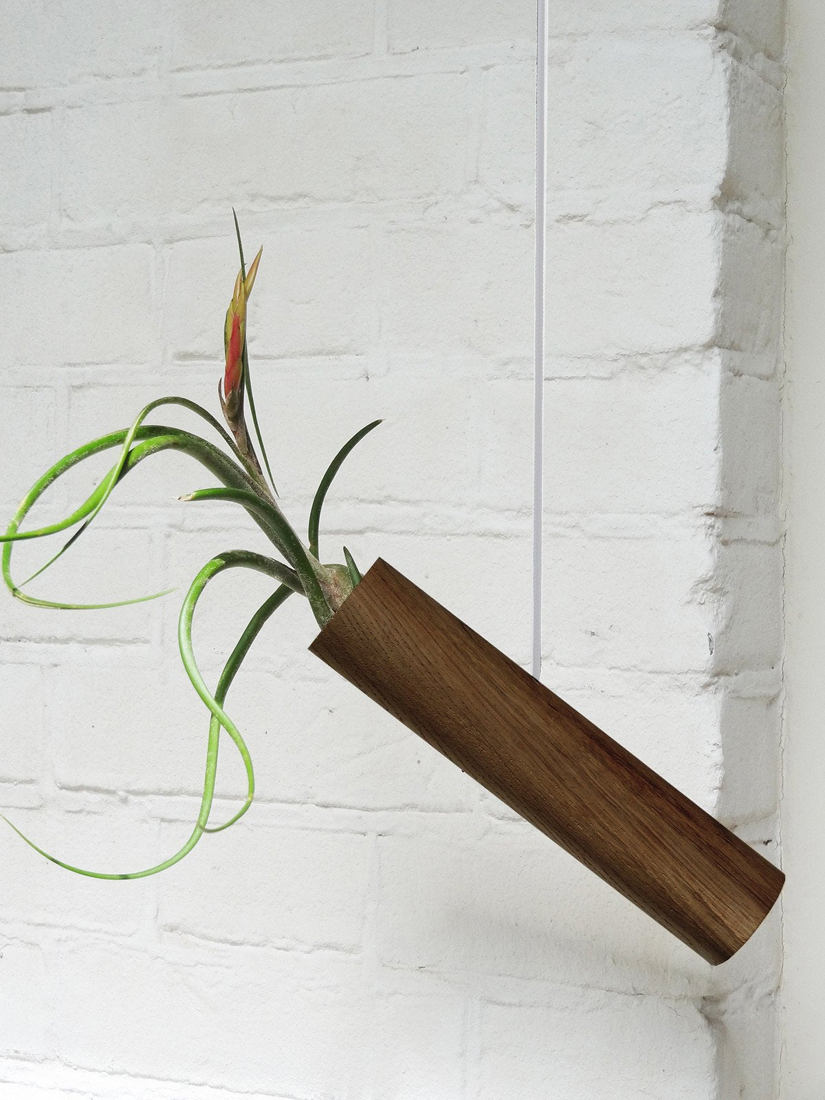 Cylindre suspendu - Chêne foncé