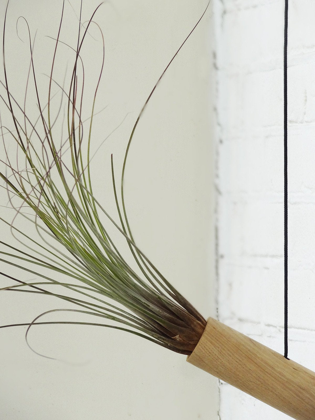 Cylindre suspendu - Chêne clair