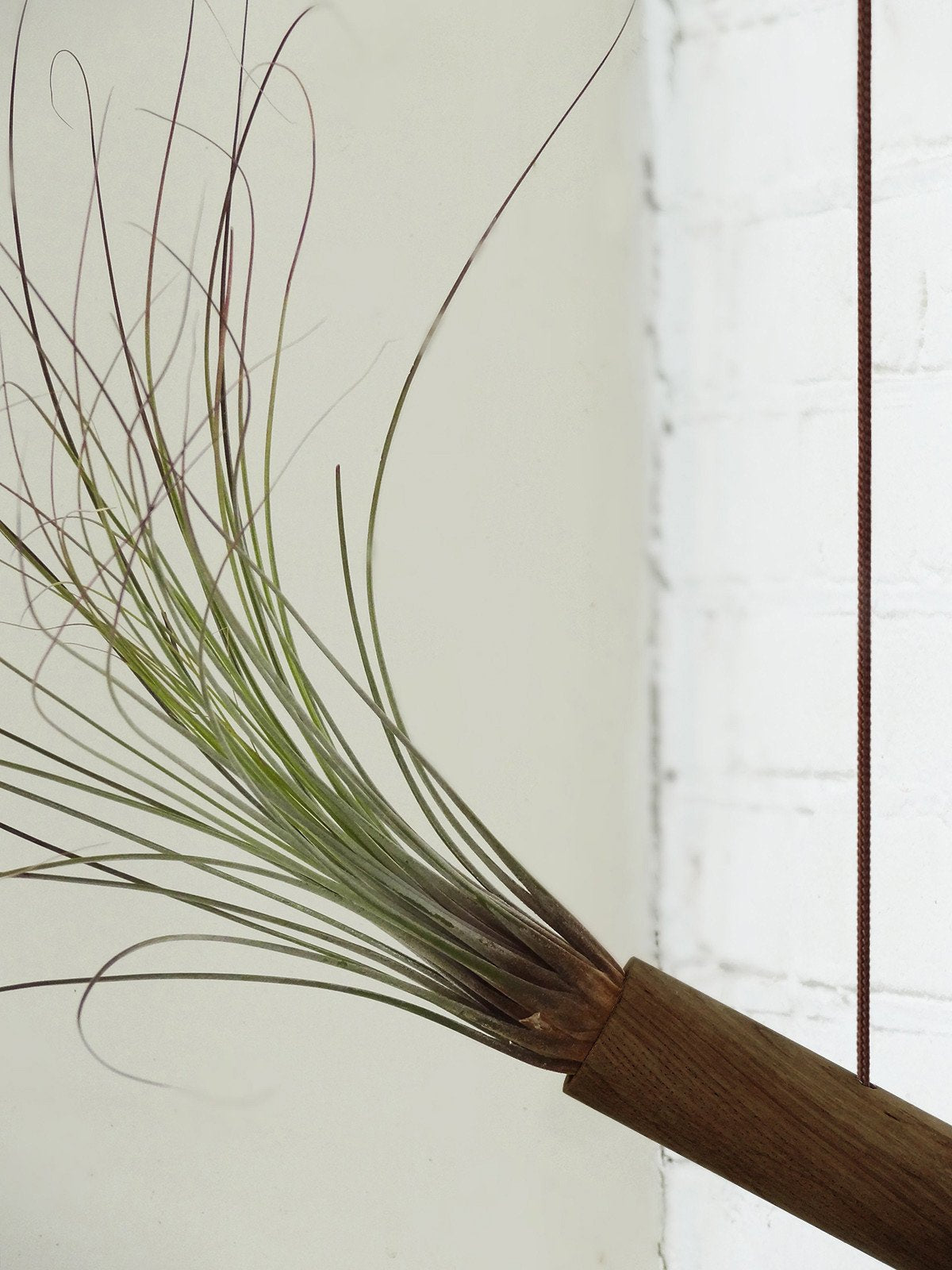 Cylindre suspendu - Chêne foncé