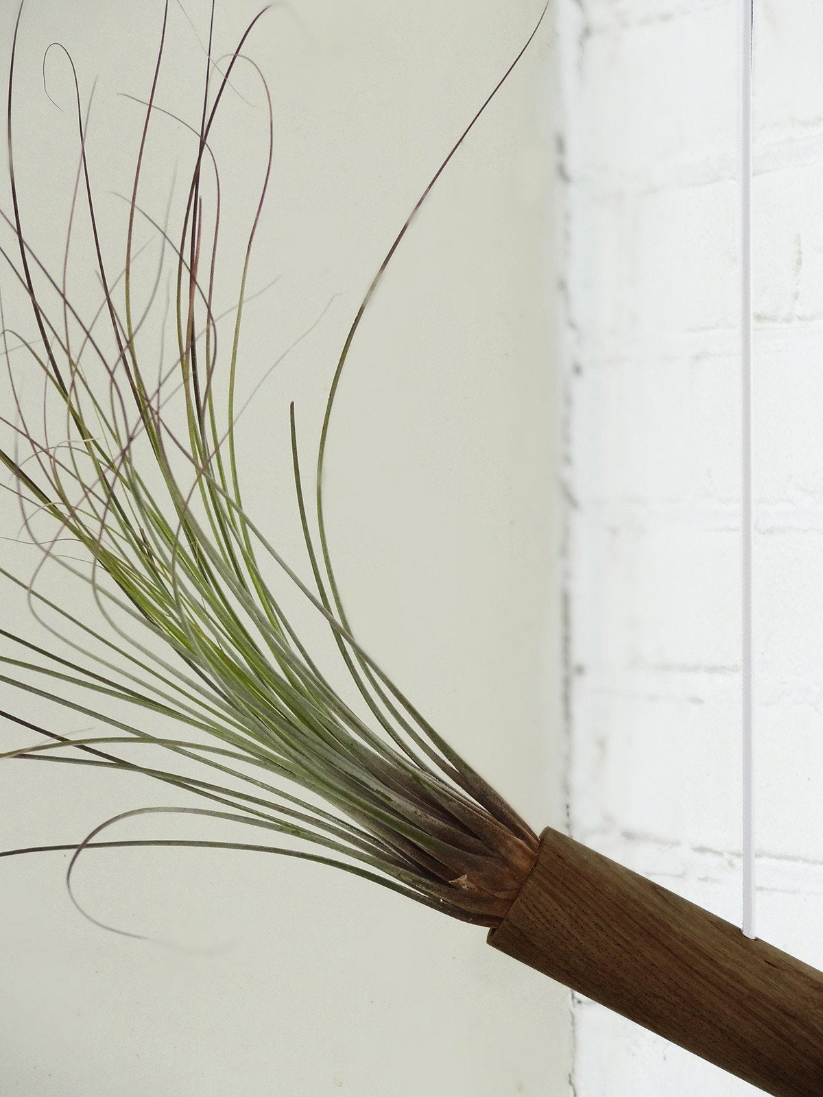 Cylindre suspendu - Chêne foncé