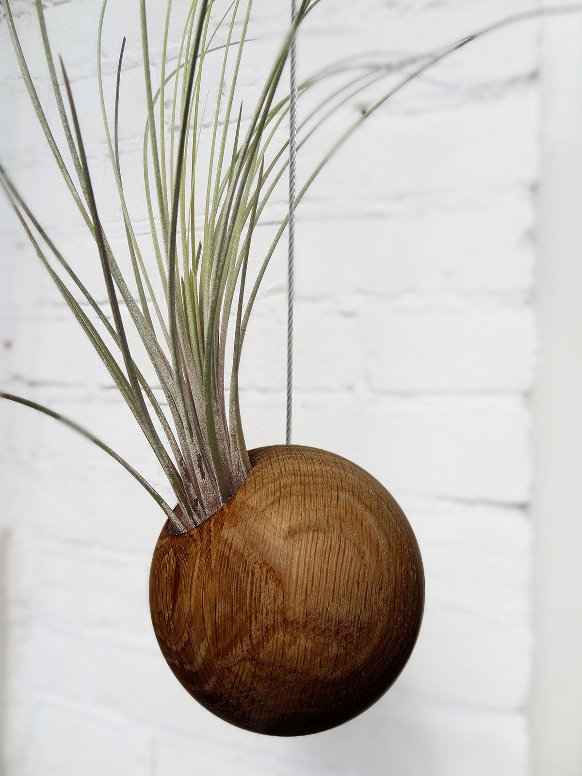 Sphère suspendue - Chêne foncé