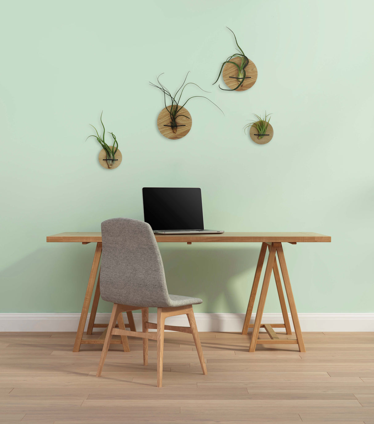 Disques (lot de 2) - Chêne clair