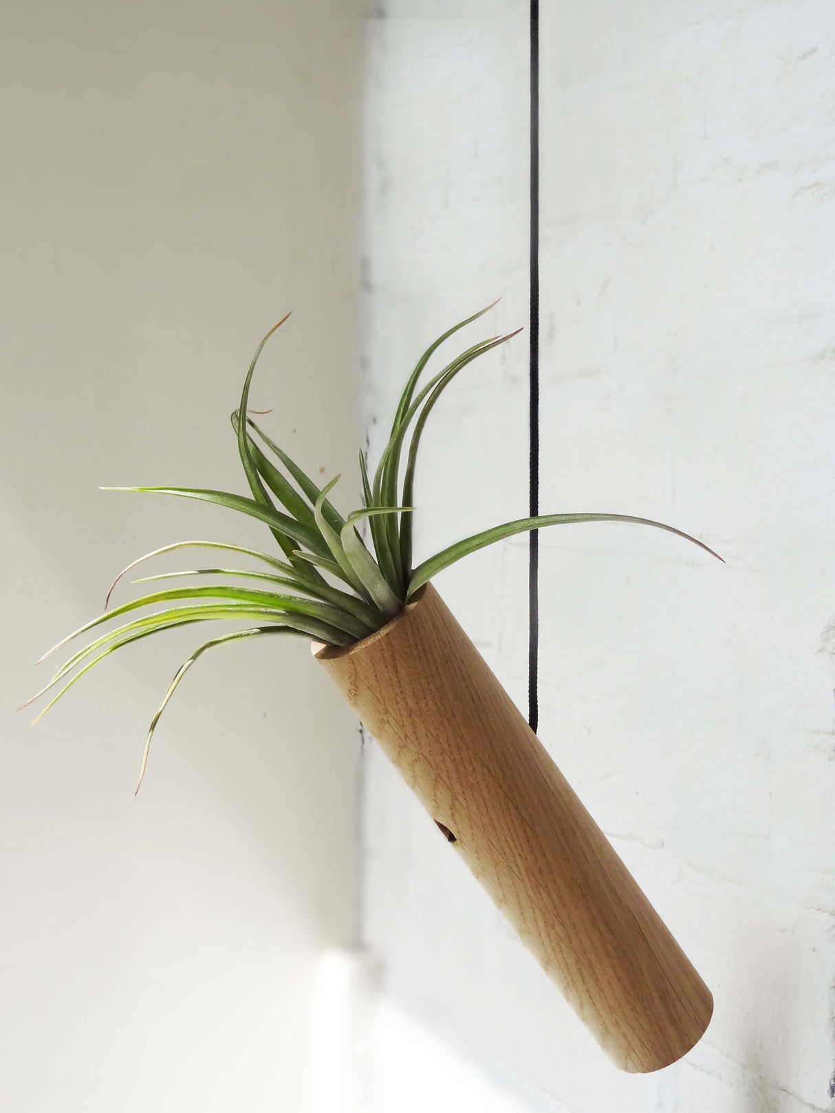 Cylindre suspendu - Chêne clair