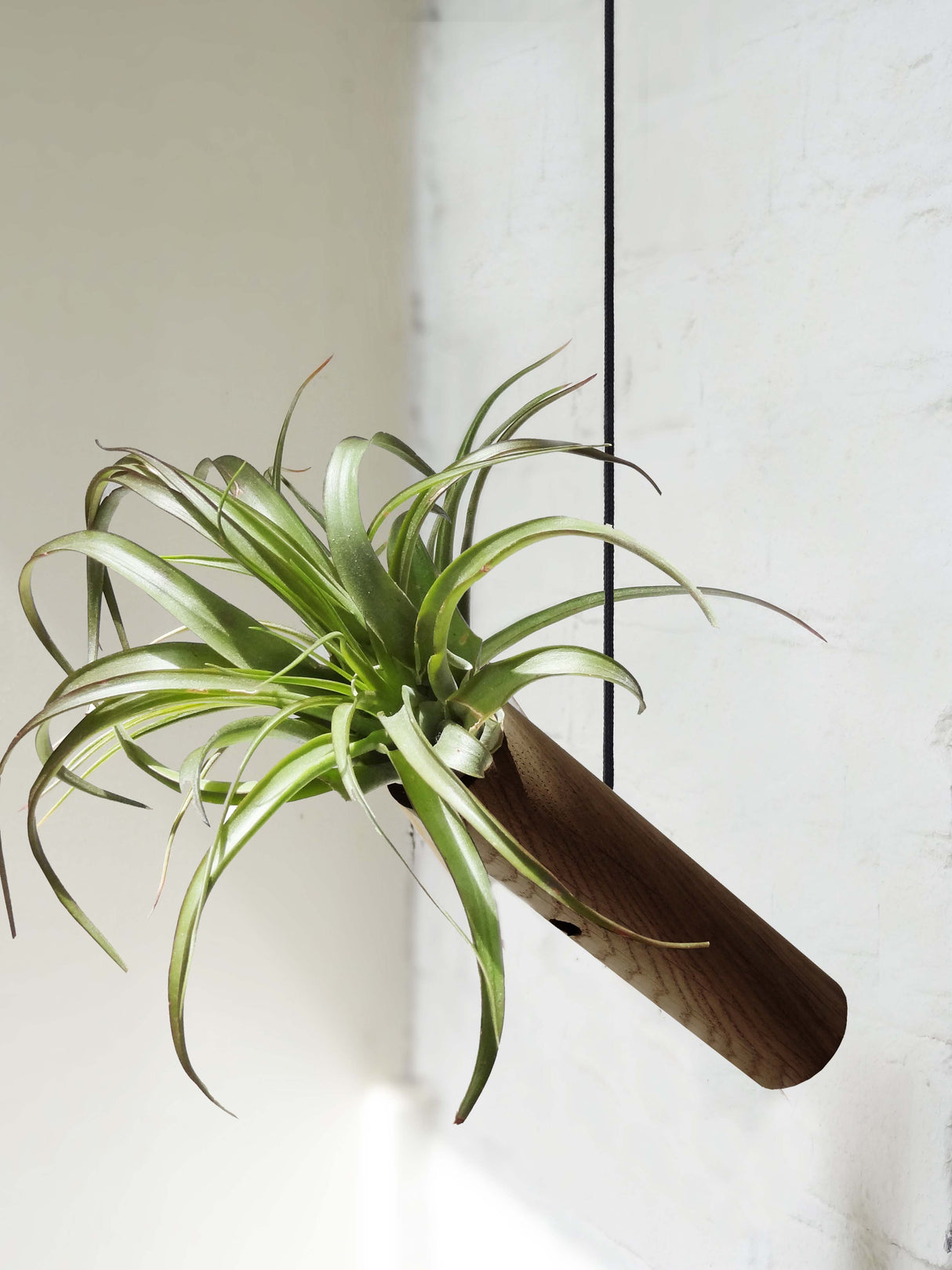 Cylindre suspendu - Chêne foncé