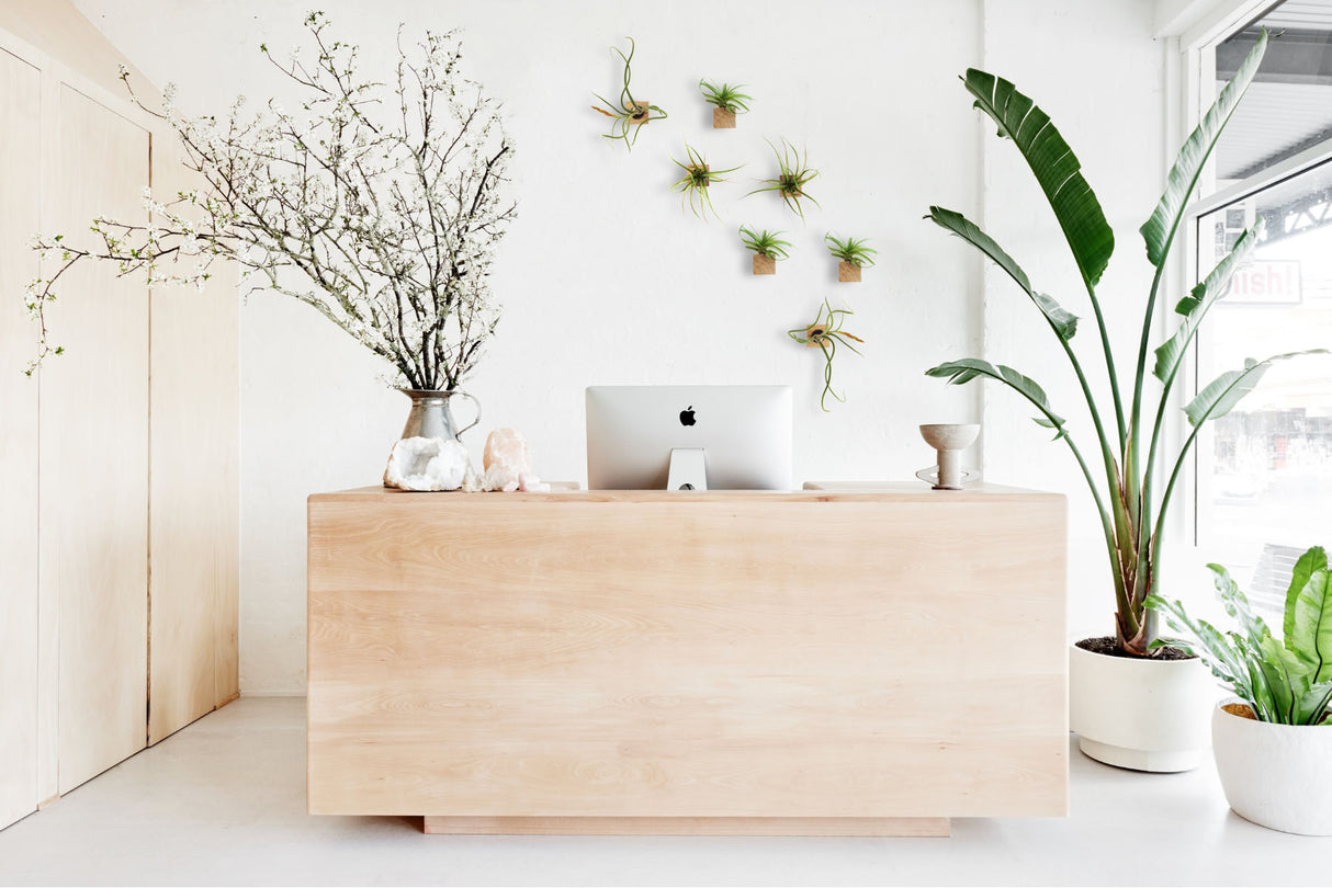 Cube - Chêne foncé