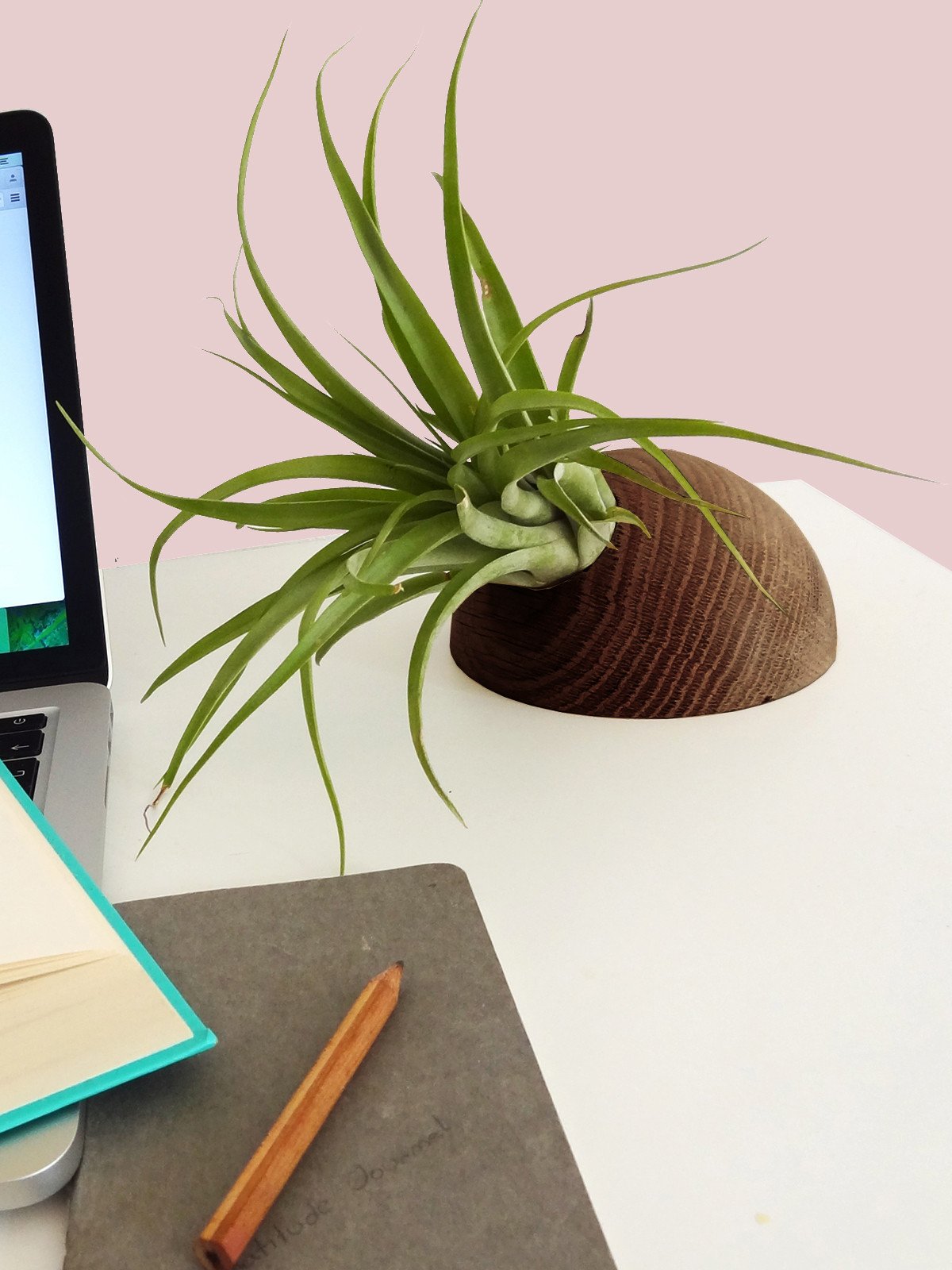 Hémisphère - Chêne foncé