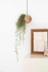 Sphère suspendue - Chêne clair