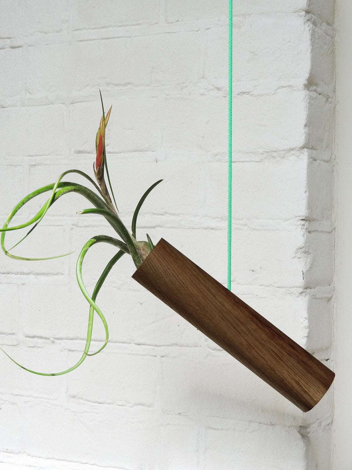 Cylindre suspendu - Chêne foncé