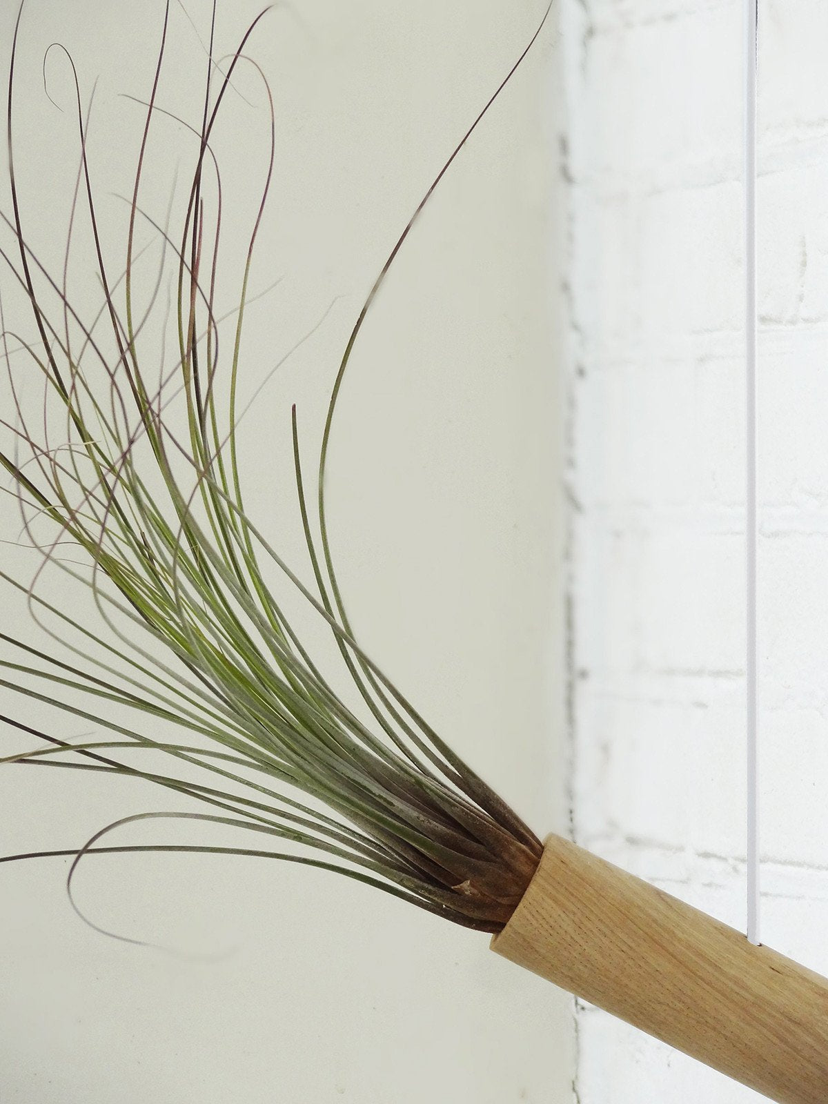 Cylindre suspendu - Chêne clair