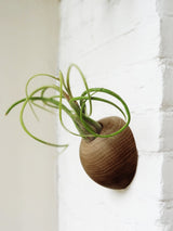 Hémisphère - Chêne foncé