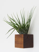 Cube - Chêne foncé