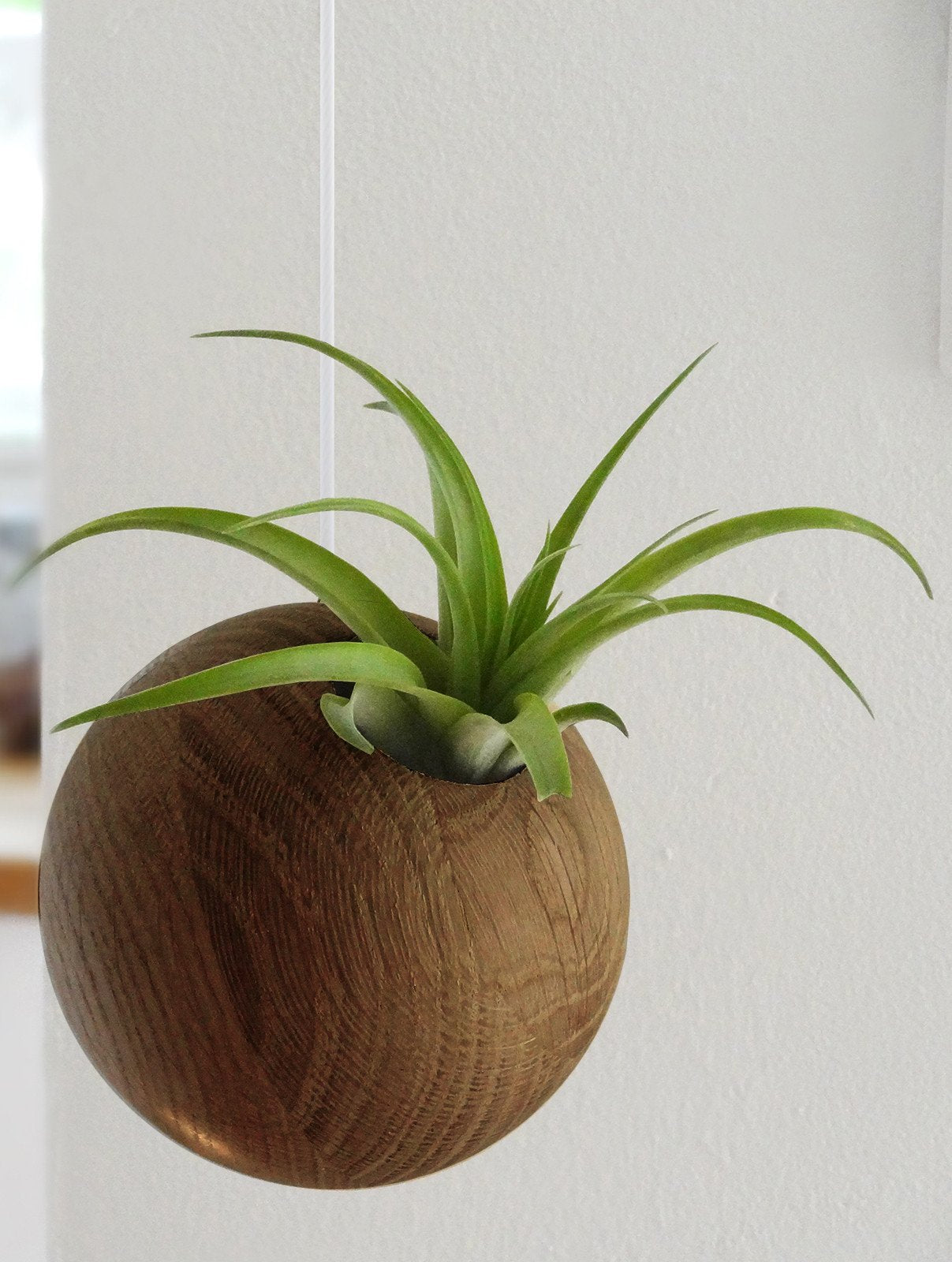 Sphère suspendue - Chêne foncé