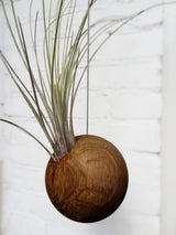 Sphère suspendue - Chêne foncé