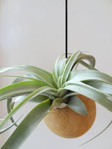 Sphère suspendue - Chêne clair