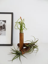 Cylindre sur pied - Chêne foncé - Lot de 3