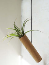 Cylindre suspendu - Chêne clair