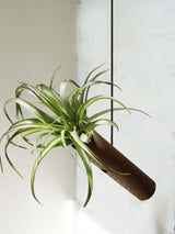 Cylindre sur pied - Chêne foncé - Lot de 3