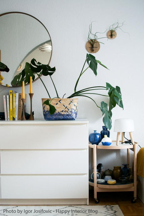 Disques (lot de 2) - Chêne clair