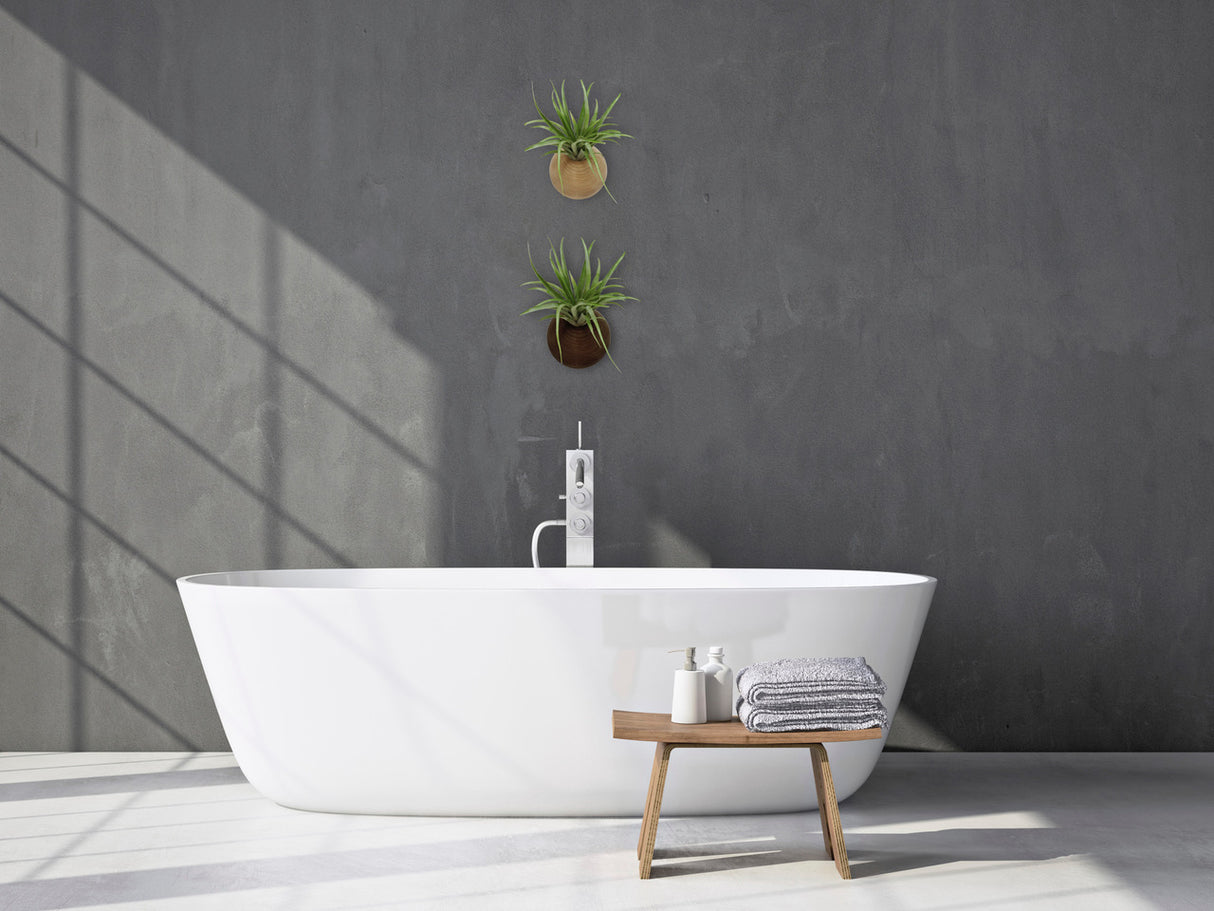 Hémisphère - Chêne clair