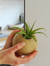 Sphère suspendue - Chêne clair